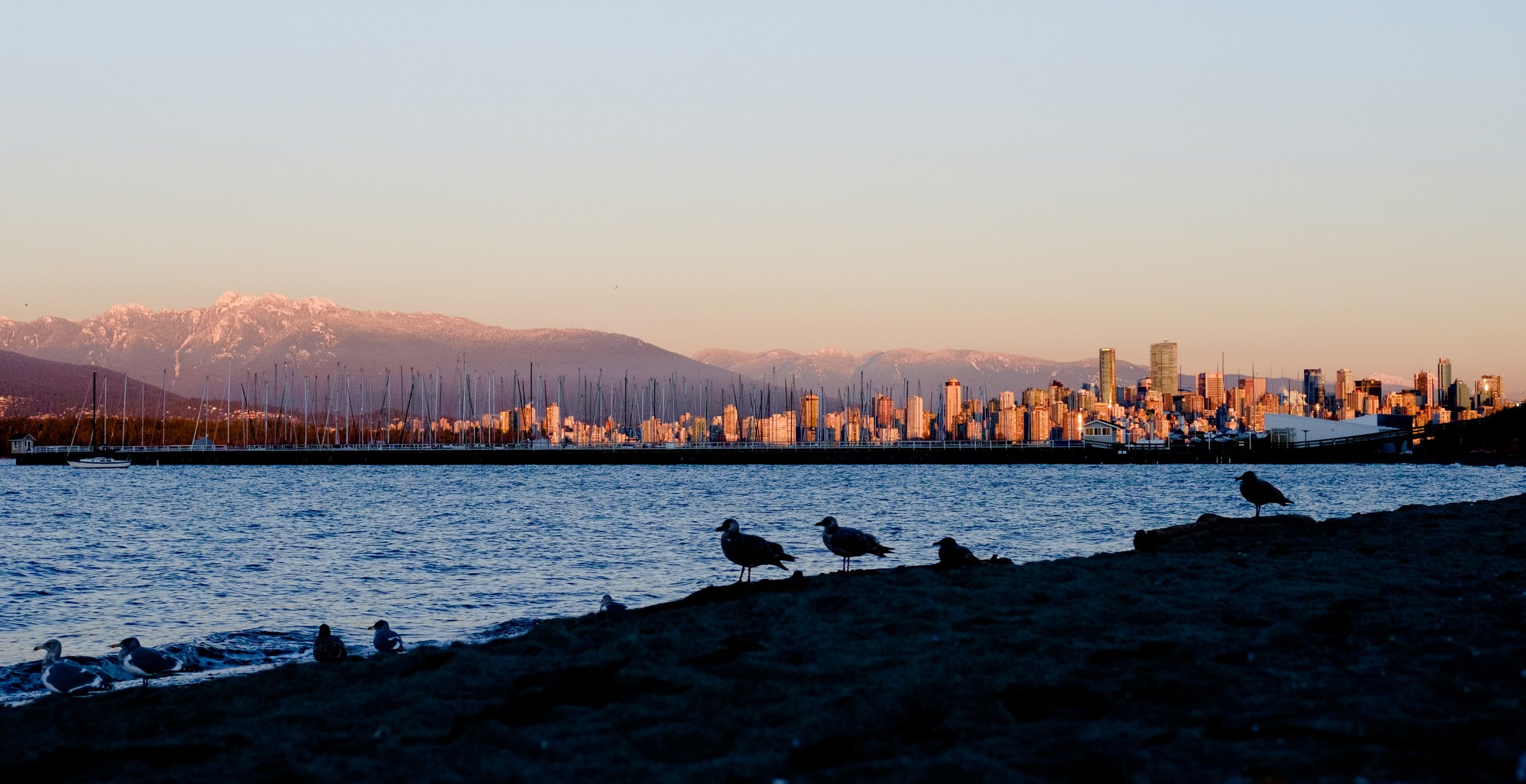 A Travel Guide to Vancouver Neighborhoods 