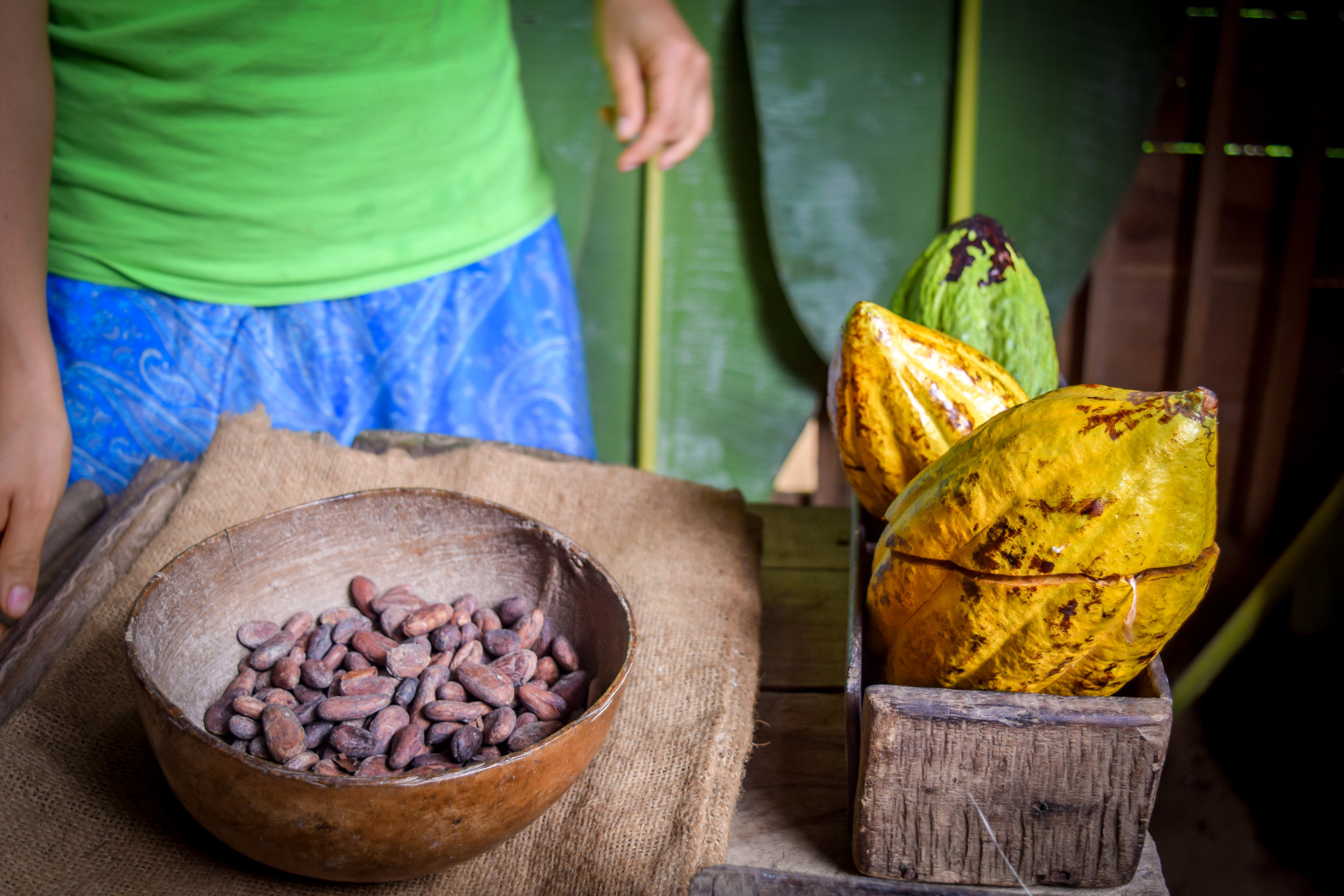 Visiting a Cacao House in Costa Rica