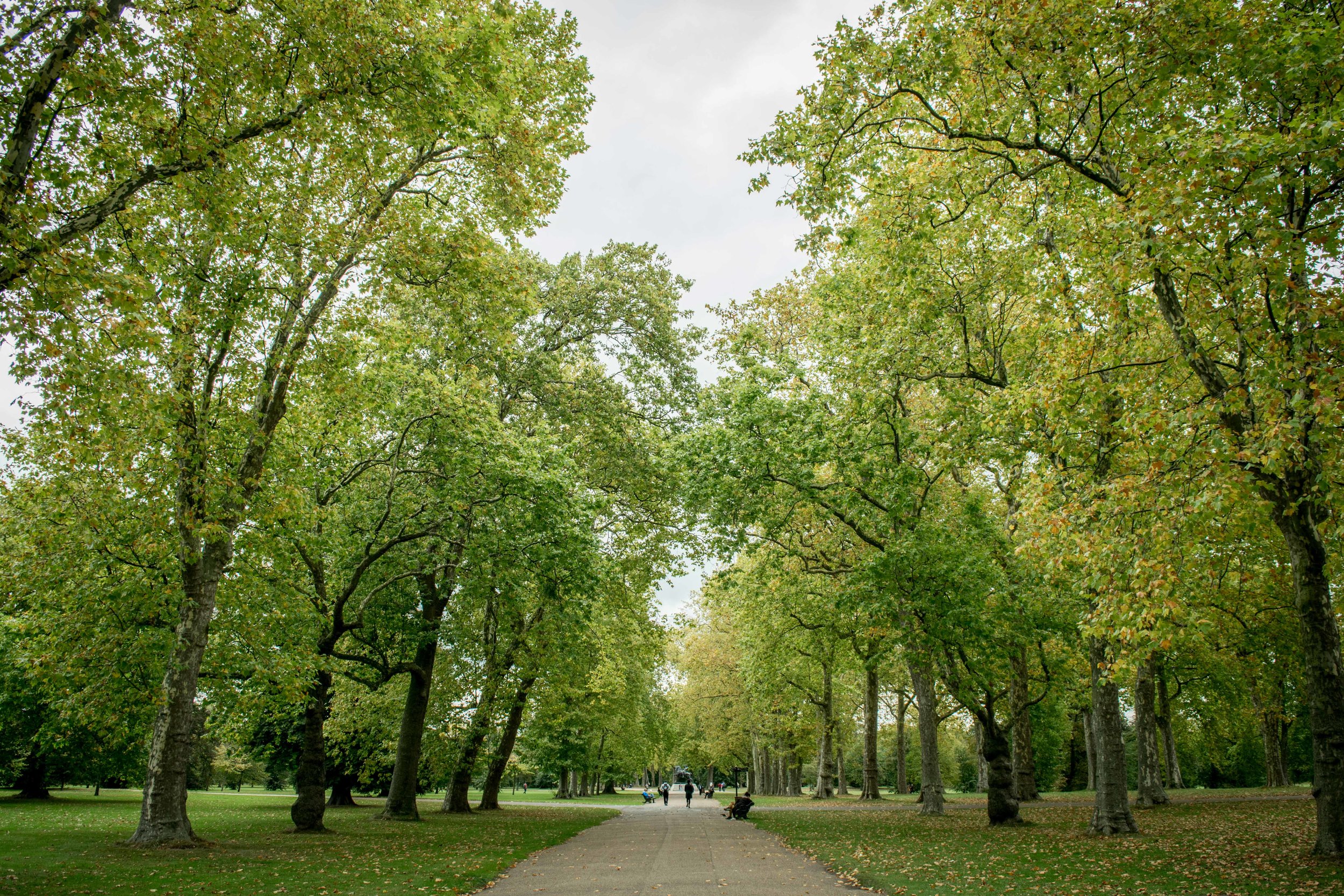 Discovering London's Hyde Park