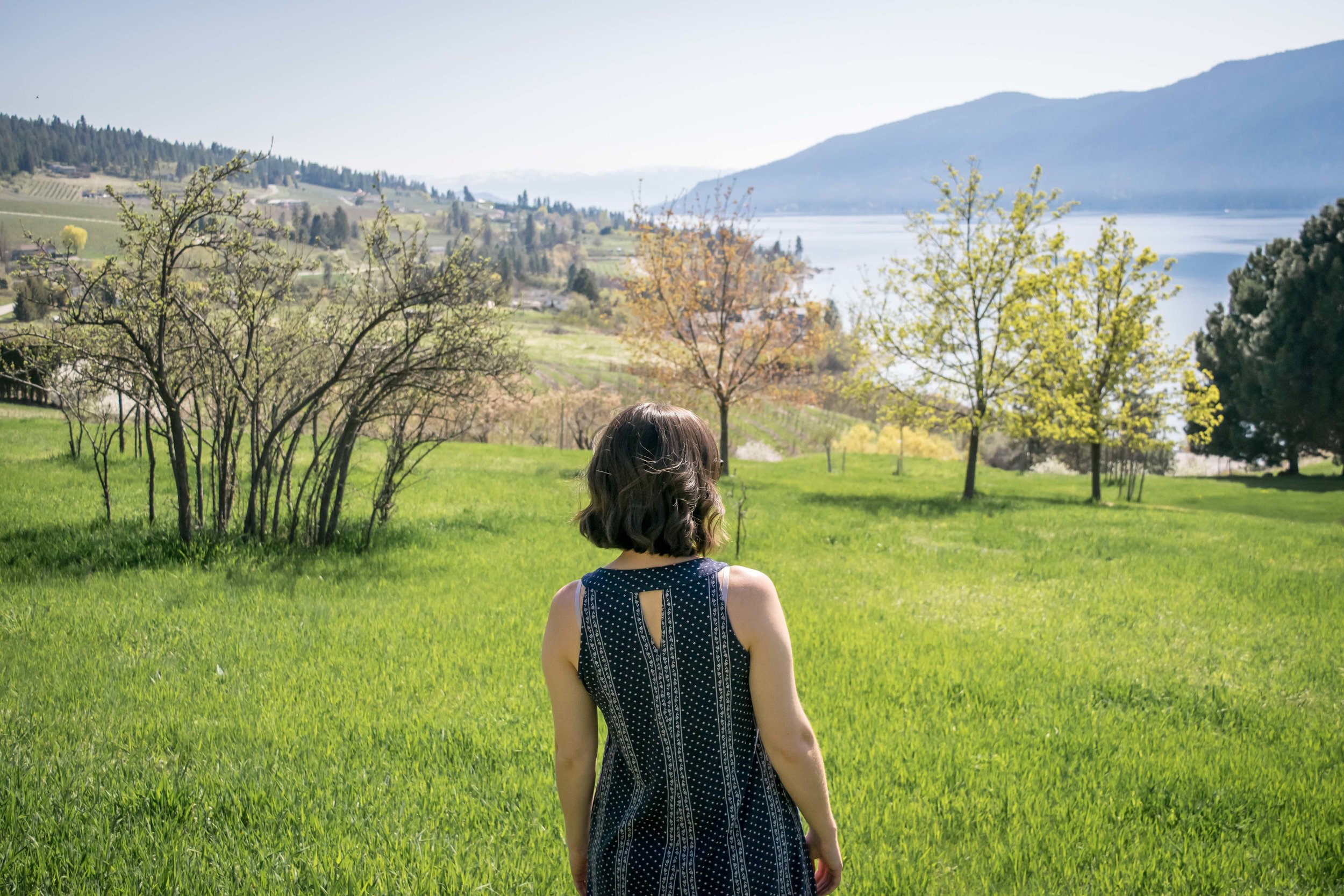 A Guide to the Perfect Weekend in the Okanagan Valley