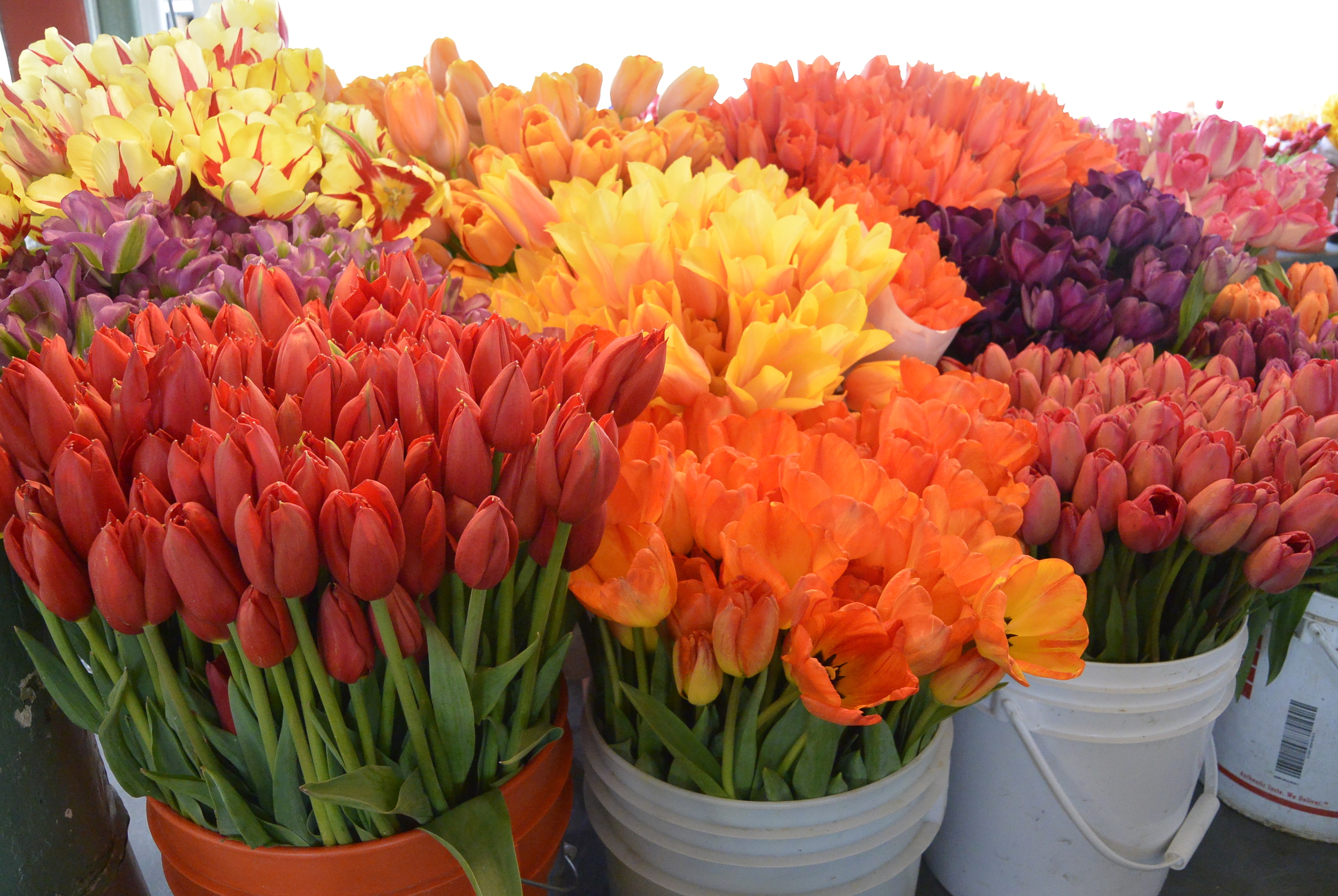 Flying Fish and Gorgeous Bouquets at Pike Place Market