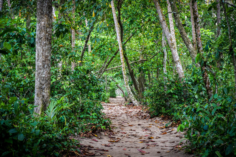 Cahuita National Park: Photo Journal 