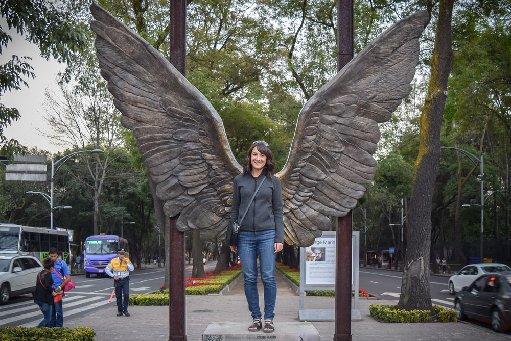  Alas de la Ciudad Chapultepec 